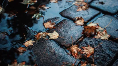 В Україні очікуються дощі та зниження температури до +14°: прогноз погоди на вихідні - фото