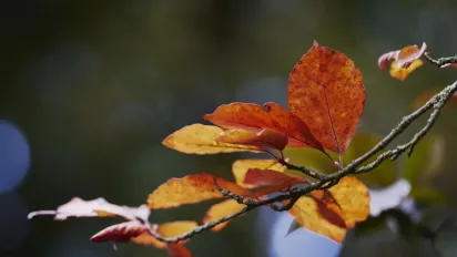 Синоптикиня назвала дату, коли в Україні стане трохи тепліше - фото