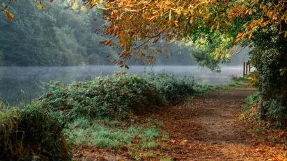 11 жовтня — день апостола Пилипа: традиції, заборони та народні прикмети - фото