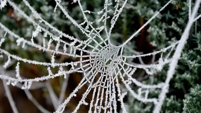 В Україні очікується дві хвилі похолодання у жовтні: прогноз синоптика - фото