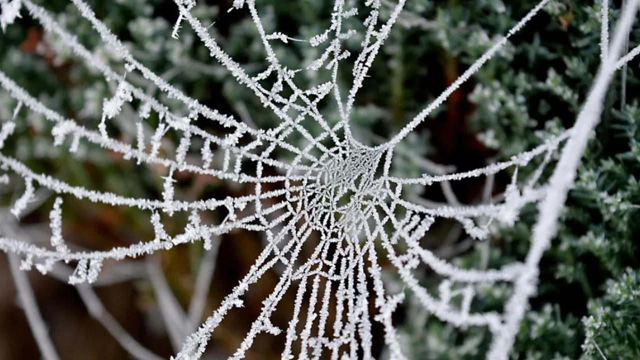 В Україні очікується дві хвилі похолодання у жовтні: прогноз синоптика 