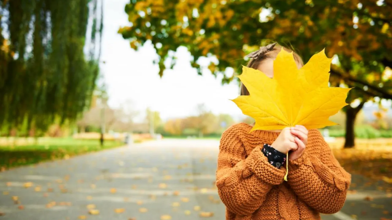 Натяк на повернення тепла: синоптик назвав дату, коли в Україні може потеплішати 