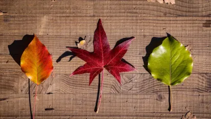 Коли в Україну прийде потепління: прогноз синоптика - фото