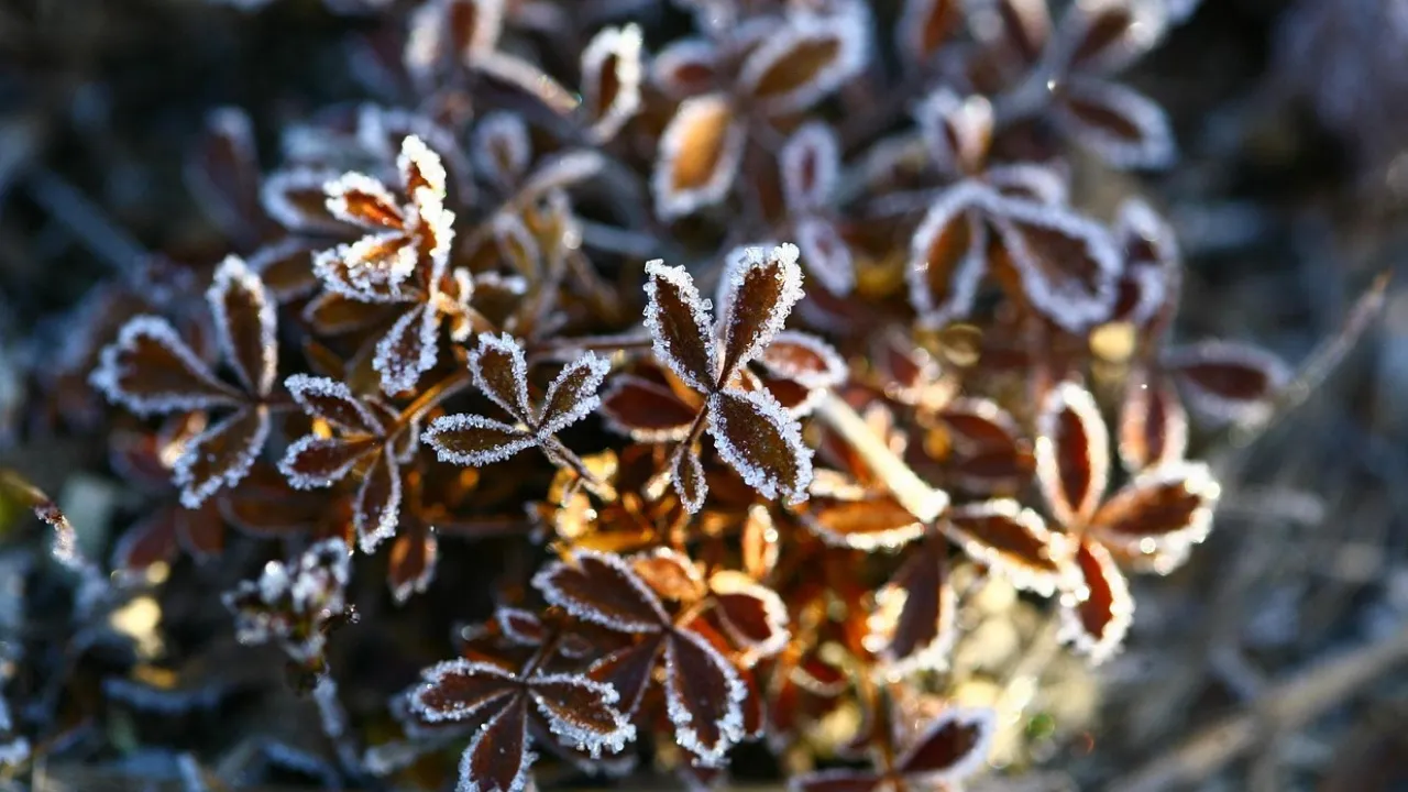 В Україну суне потужне похолодання: названо дату 