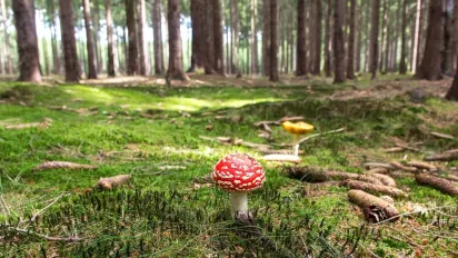 Що потрібно спалити 13 жовтня, щоб ноги увесь рік не боліли: народні прикмети - фото