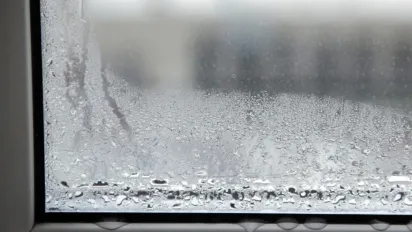 Восени та взимку на вікна радять ставити миски з сіллю: навіщо це потрібно - фото