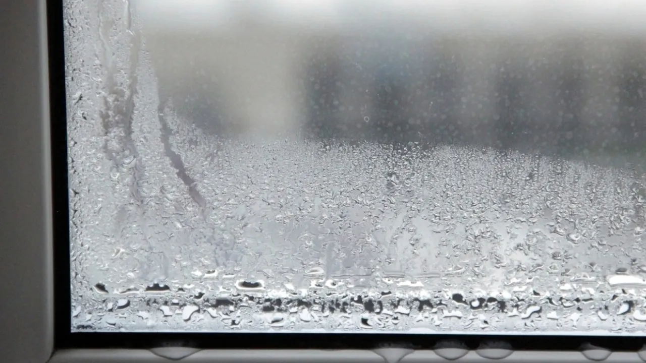 Восени та взимку на вікна радять ставити миски з сіллю: навіщо це потрібно 