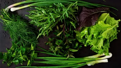 Зелень не в’яне й не темніє: найкращі способи зберігання без заморозки - фото