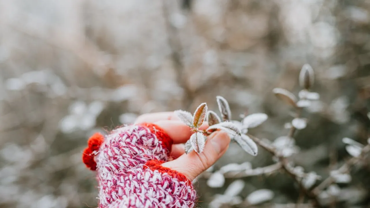 Якою завтра буде погода в Україні: прогноз Наталки Діденко 