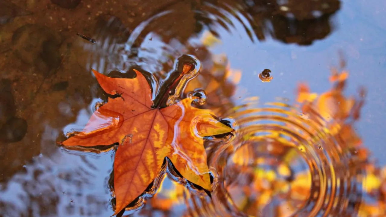 Дощі та холод не покинуть Україну, але є нюанс: прогноз погоди на тиждень 