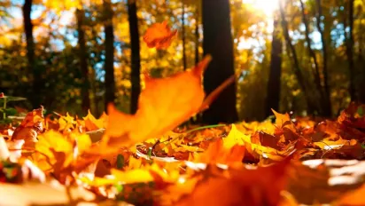 Чому 14 жовтня не можна веселитися: народні прикмети - фото