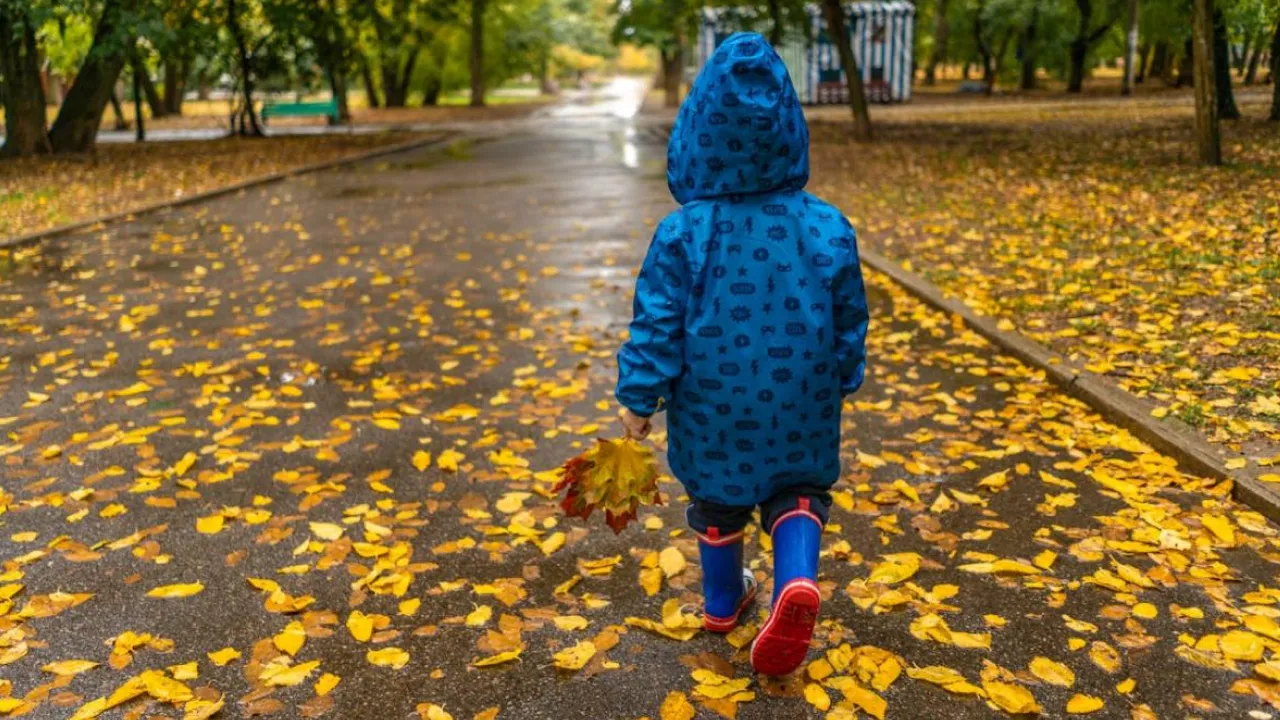 Осінь набирає силу: 14 жовтня дощі та прохолода накриють більшість областей 