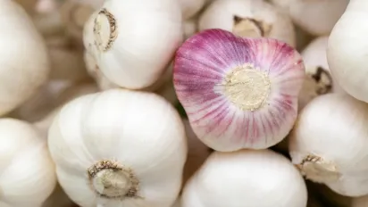 Помилок припускаються навіть досвідчені дачники: що не варто садити після часнику - фото