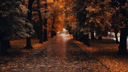 Що потрібно зробити 15 жовтня, щоб привернути удачу і достаток на увесь рік: народні прикмети - фото