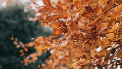 В Україну йде потепління: синоптикиня Діденко розповіла, коли знову пригріє сонце - фото