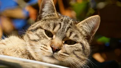 Синоптикиня повідомила, коли в Україні нарешті може потеплішати - фото