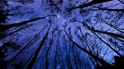 Гороскоп на 16 жовтня 2025 року для всіх знаків Зодіаку - фото