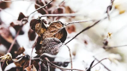 Синоптики попереджають про помаранчевий рівень небезпеки в Рівненській області - фото