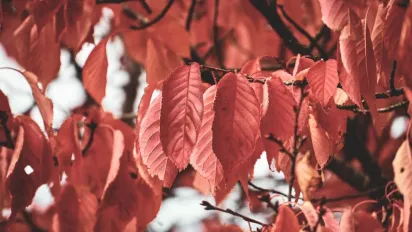 Що робили з одягом 16 жовтня, щоб узимку не хворіти: народні прикмети - фото