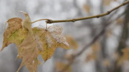 Похолодання з дощами та мокрим снігом вже на порозі: синоптикиня назвала точні дати - фото