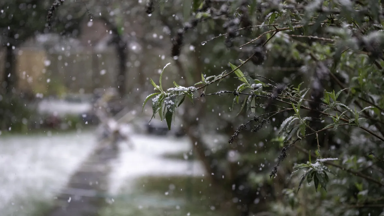 В Україну насувається похолодання: синоптики розповіли, коли очікувати дощів і мокрого снігу 