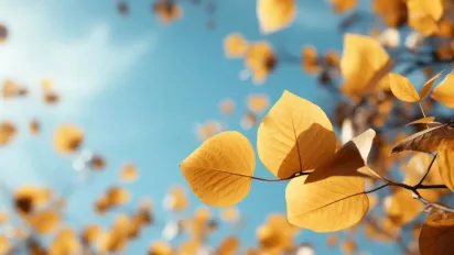 Сонячна пауза перед похолоданням: прогноз погоди в Україні на 17 жовтня - фото