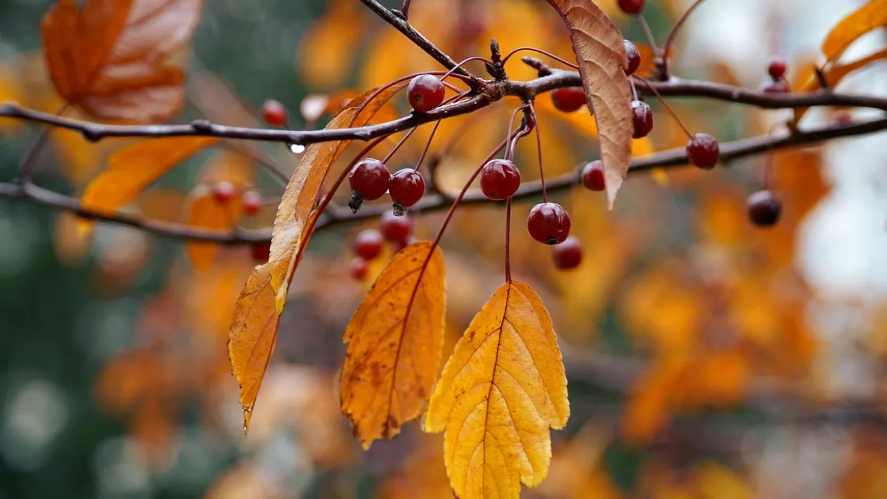 Чому 20 жовтня не можна замикати двері на ключ: народні прикмети 