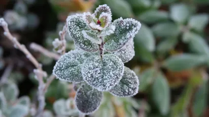 В Україну повертаються заморозки до -5°: синоптики оголосили помаранчевий рівень небезпеки - фото