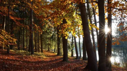 Чому 21 жовтня не можна приймати подарунки: народні прикмети - фото