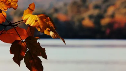 21 жовтня в Україні стане трохи тепліше: де підвищиться температура - фото