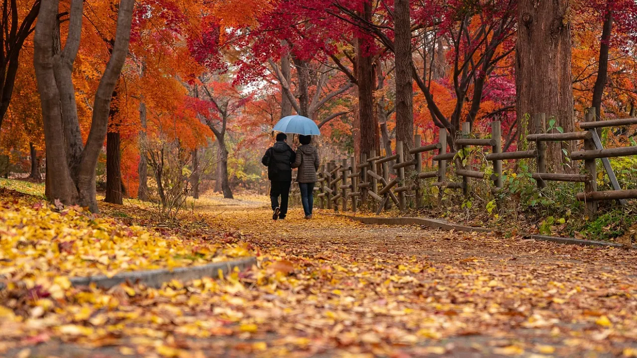 В Укргідрометцентрі розказали, як зміниться погода найближчими днями 