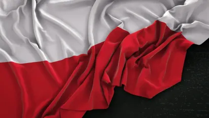 Сікорський не виключає арешту путіна: що буде, якщо літак пролетить через Польщу - фото