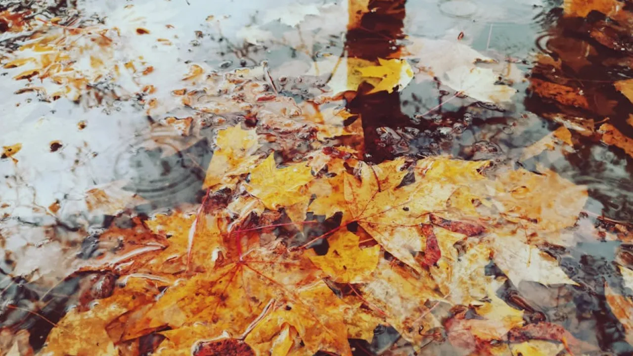 До України йде нова хвиля холоду та злив з грозами: прогноз синоптика 