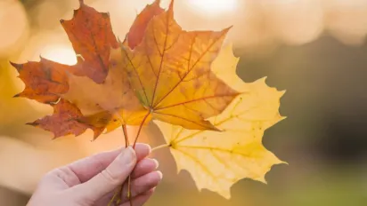 22 жовтня в Україні стане ще тепліше: прогноз синоптиків - фото