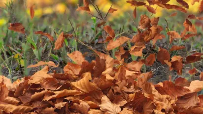 Погода потішить українців теплом, але є неприємний нюанс: прогноз на 23 жовтня - фото