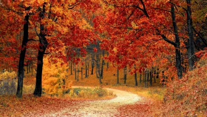 Що треба з'їсти 23 жовтня, щоб притягнути здоров'я та багатство: народні прикмети - фото