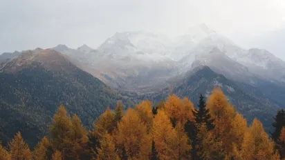 Що не можна купувати 24 жовтня, щоб не накликати життєві труднощі: народні прикмети - фото