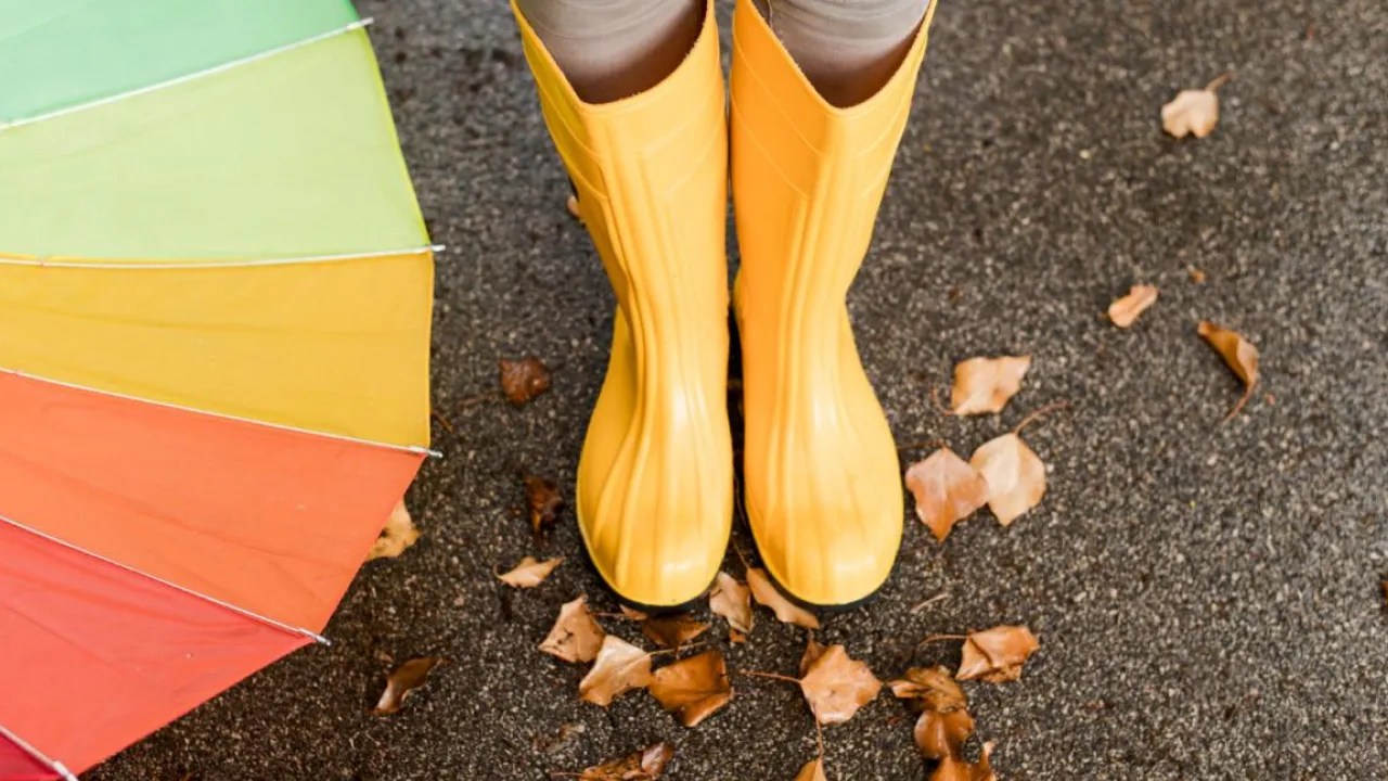 В Україну йде зміна погоди: очікуються дощі та штормовий вітер  