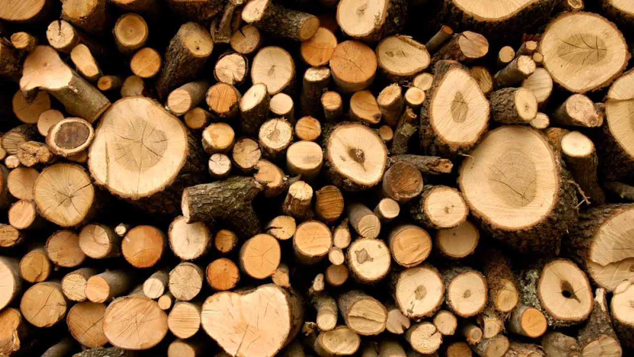 Такі дрова для печі — не можна! Три види деревини, які не гріють і шкодять димоходу 