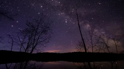 Названо чотири знаки Зодіаку, які увійдуть у смугу фантастичного везіння  - фото