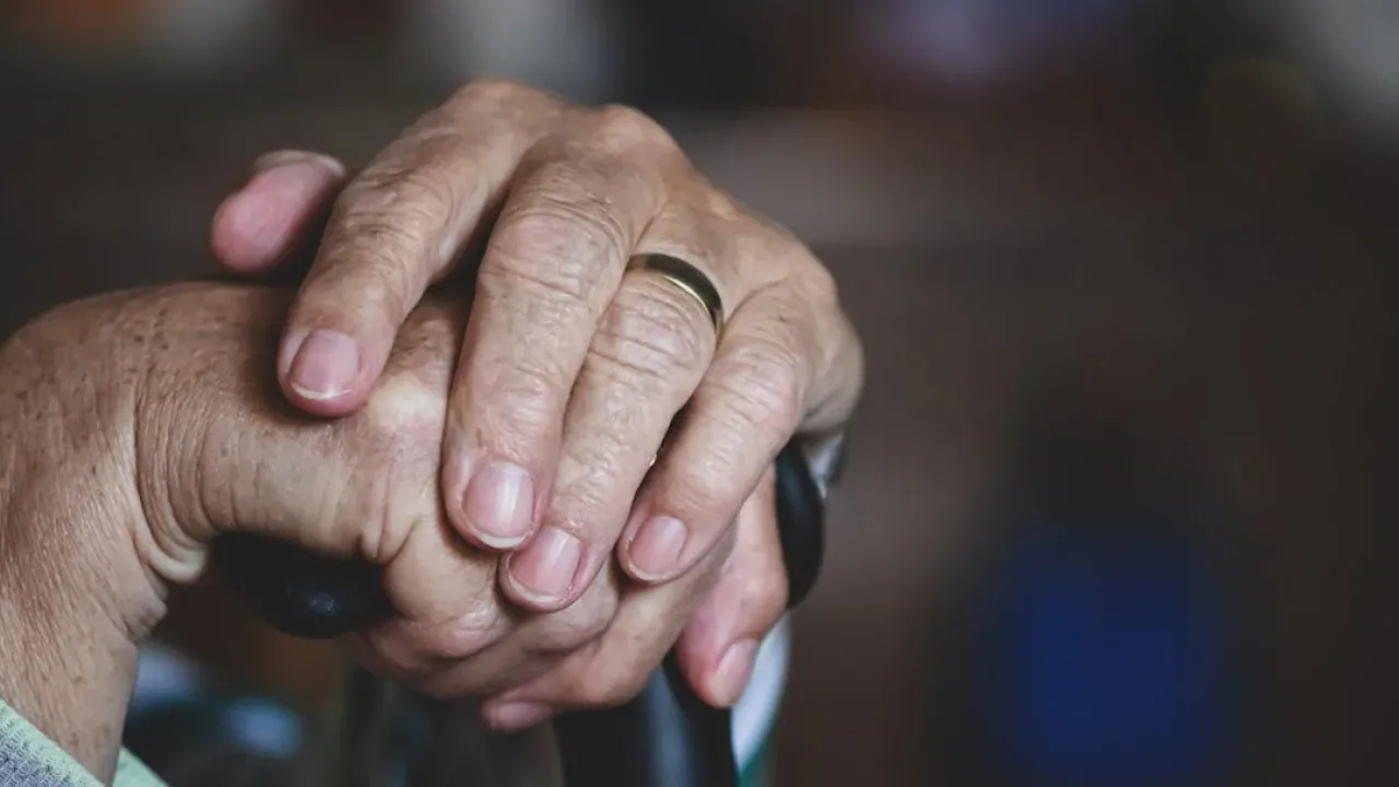 Що треба зробити до 1 листопада, щоб не втратити пенсію 