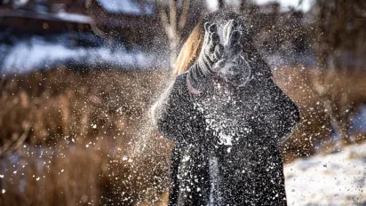 Прогноз погоди на листопад 2025 року в Україні: синоптики попереджають про різку зміну температур і перші сніги - фото