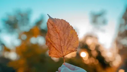 Синоптики розказали, як зміниться погода в Україні найближчими днями - фото
