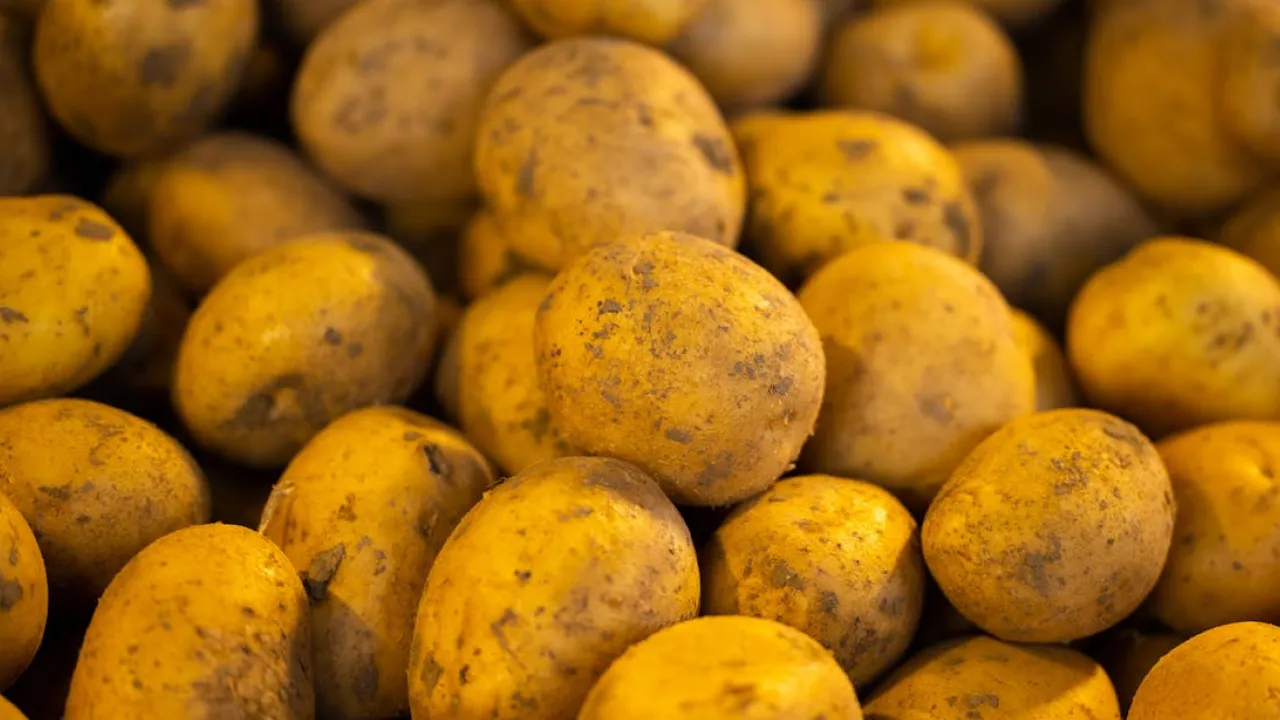 В Україні рекордно подорожчають два основні продукти: експерти радять зробити запаси 