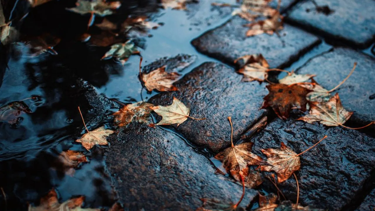 Завтра частину України заллють дощі: синоптикиня розповіла, де буде мокро 