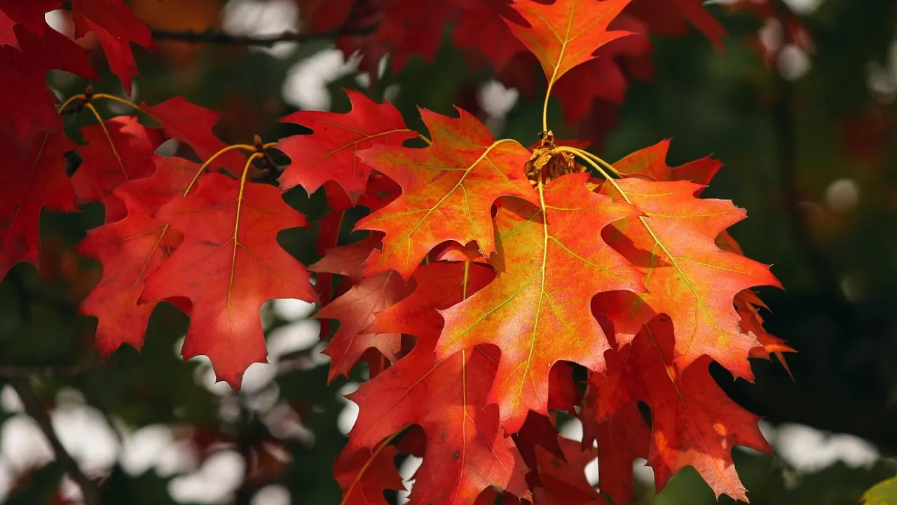 Погода різко зміниться: в Україну йде потепління до +20°  