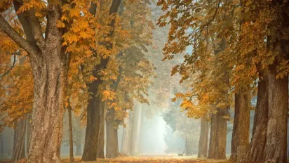 "Від +1 та дощі": синоптики уточнили прогноз погоди на сьогодні - фото