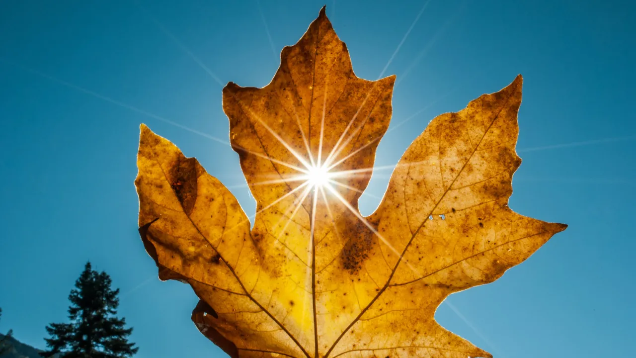 Похолодання в Україні зміниться потеплінням: коли чекати сонця 