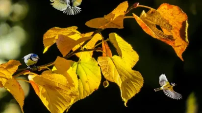 Синоптикиня Діденко назвала точну дату, коли в Україні нарешті потеплішає - фото