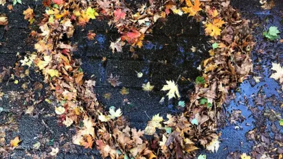 Україну накрили атмосферні фронти: синоптикиня повідомила, що буде з погодою 29 жовтня - фото